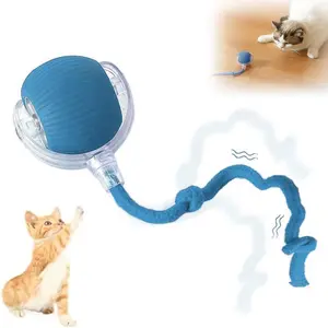 Cat&Dog Toy - Interactive USB Rechargeable Ball Toy on Rug , Anti-Depression Fun Gift for Cats & Dogs