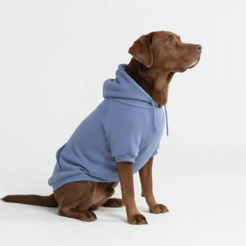 Dog Hoodie – Premium Dog Sweater for Small, Medium, and Large Dogs |   Warm Outfits for French Bulldogs, Pitbull, Puppy, Winter Jacket Alternative - Slate Blue - 3XL