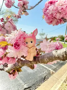 Hippers Hanami Cherry Blossom Series Hippers Series, Fruit, Animal Figures , Cat, Valentines Blind Box Many Series Figure, Home Decor Doll Birthday Gift