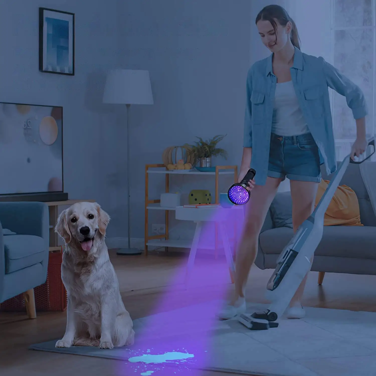 Summer UV Blacklight Flashlight, Ultraviolet Blacklight Detector, Torch Detector Light For Dog Urine, Pet Stains, Bed Bug Detection