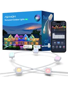 ASAHOM Permanent Outdoor Lights Pro S1080