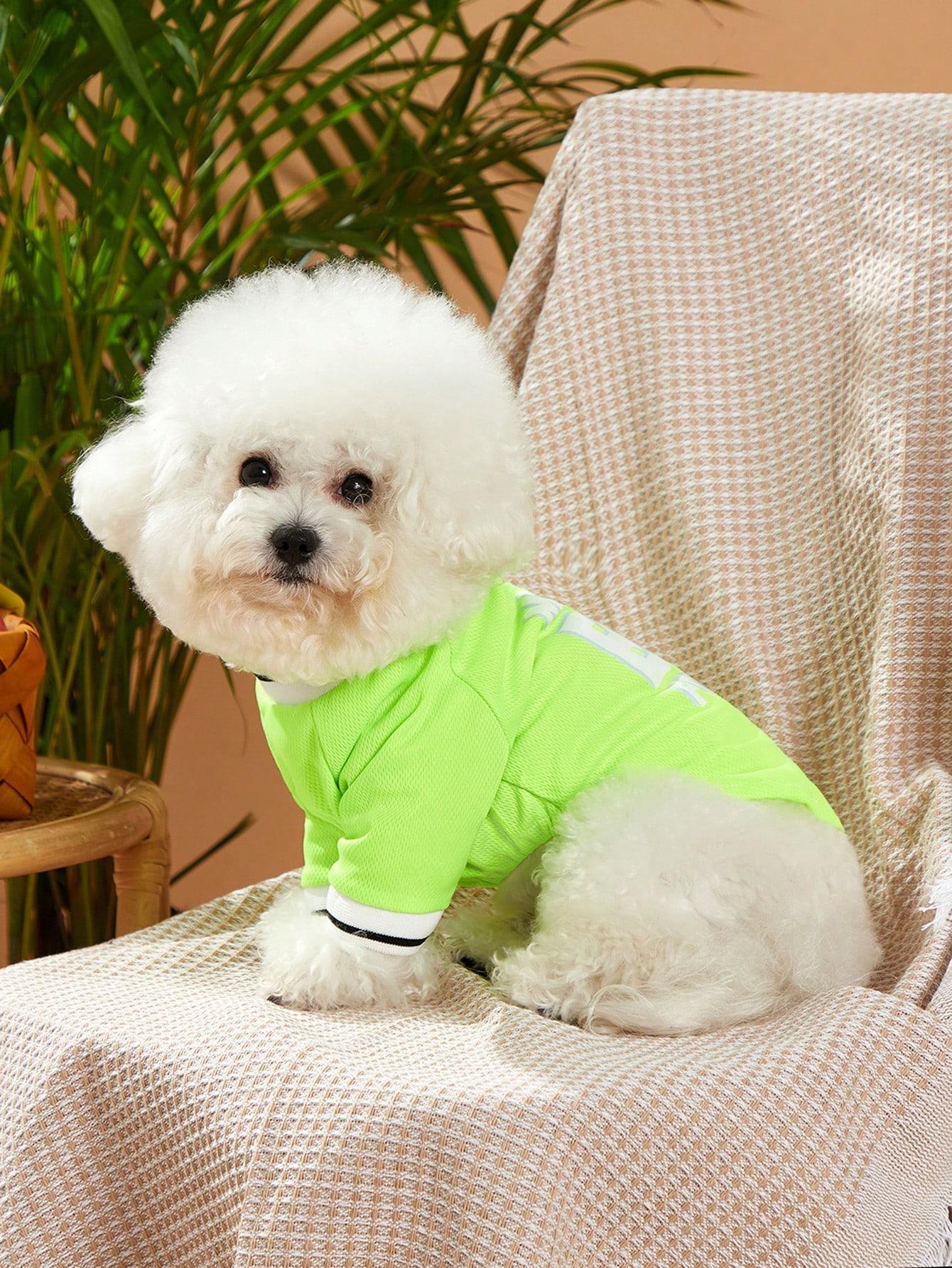 AESS x PETSIN Polyester Dog & Cat T-Shirt, Cute Print & Letter Stripe, Lightweight Breathable Multi-Size Spring Summer Pet Apparel