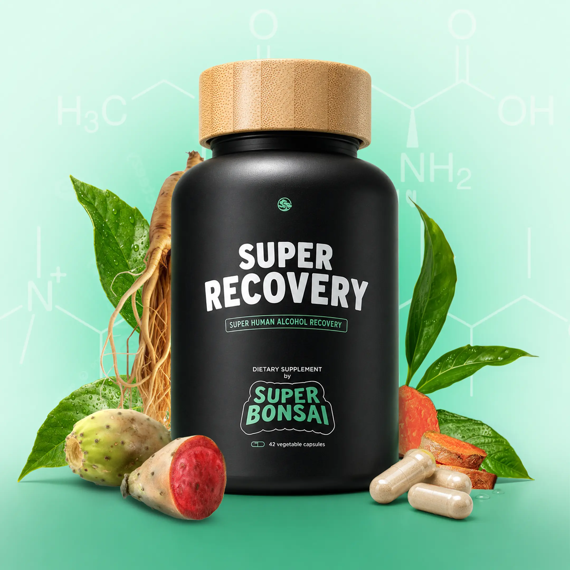 SuperBonsai Super Recovery - Natural Ingredients with DHM and Milk Thistle - Supports Liver Aid - GMO Free, Gluten Free, Vegan, Sugar Free