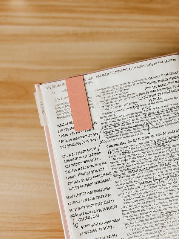 Mr. Pen Esther Bible Journaling Kit with 12 Dual Tip Highlighters, 6 .5mm Pens, Magnetic Bookmarks, Sticky Notes, & Bible Tabs