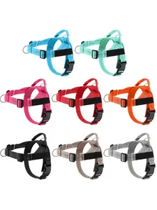 Best-Selling, Easy-to-Put-On, Lightweight Dog Harness for Medium to Large Dogs—Explosion-Proof Border Collie Pet Leash