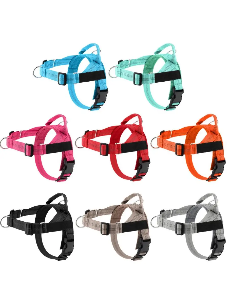 Best-Selling, Easy-to-Put-On, Lightweight Dog Harness for Medium to Large Dogs—Explosion-Proof Border Collie Pet Leash