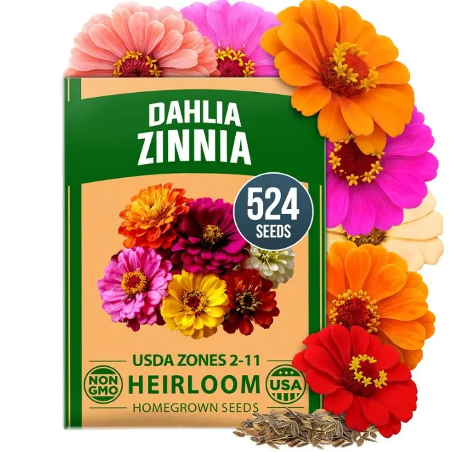HOME GROWN Zinnia Dahlia Seeds Pack for 2026 Non GMO 524 Flower Seeds | Vibrant Zinnia Elegans for Pollinator Gardens, Borders & Containers | Easy-to-Grow Outdoor Blooms