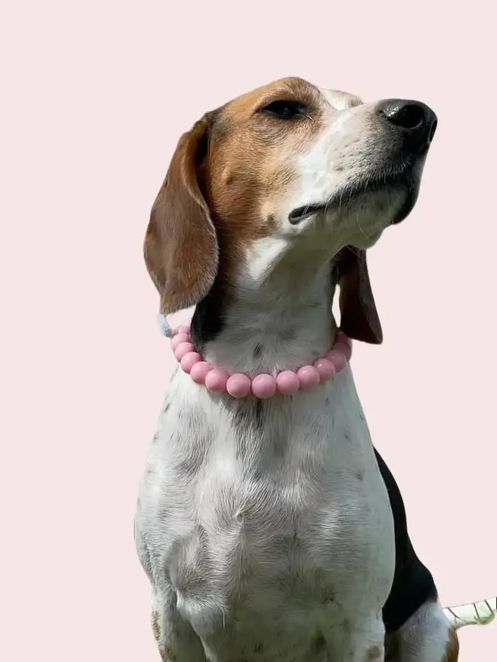 LIVE ONLY Custom Pet Pearl Necklace Adjustable Dog Cat Jewelry Cute Charm Bow Necklace Puppy Accessories Personalized Pearl Collar Sweet Pet Jewelry Princess Style Pet Neck Strap Dog Cat Pearl Collar Custom Charm Necklace for Pets Elegant Cute Style