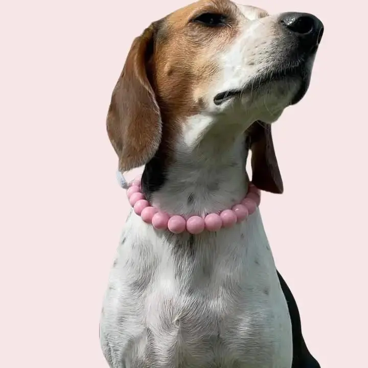 LIVE ONLY Custom Pet Pearl Necklace Adjustable Dog Cat Jewelry Cute Charm Bow Necklace Puppy Accessories Personalized Pearl Collar Sweet Pet Jewelry Princess Style Pet Neck Strap Dog Cat Pearl Collar Custom Charm Necklace for Pets Elegant Cute Style