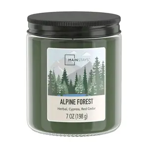 Alpine Forest Candle - Freshener & Decor for Home - Smell Good & Change Your Scent
