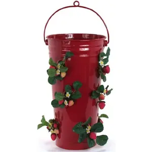 Houston International Trading  Enameled Galvanized Strawberry & Flower Planter, Red