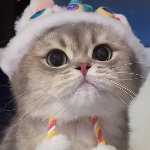 Darah LeannaSHOP Tisdale