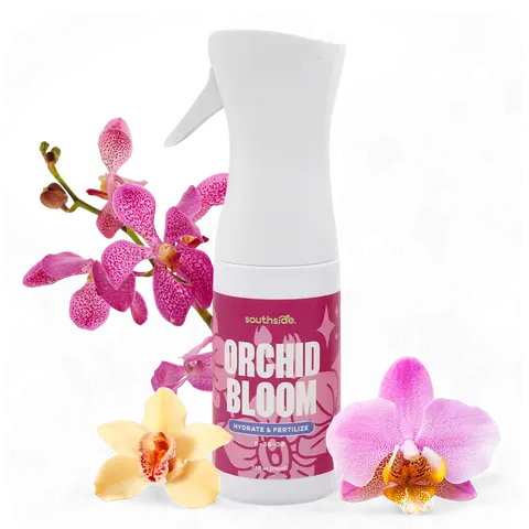 Orchid Bloom & Fertilizer - Encourage Orchid Blooms with Precise Nutrition & Humidity - Gentle Formula, Easy Continuous Spray for Maximum Coverage - Concentrated Dried Packets Make Double The Product