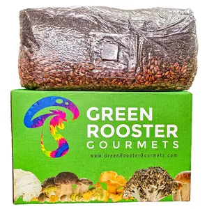 4lb All-In-One Mushroom Grow Bag