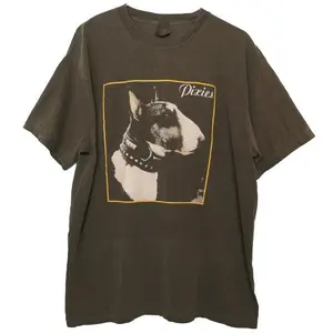Pixies Here Comes Your Man Tee Vintage Graphic Rock Band Tshirt