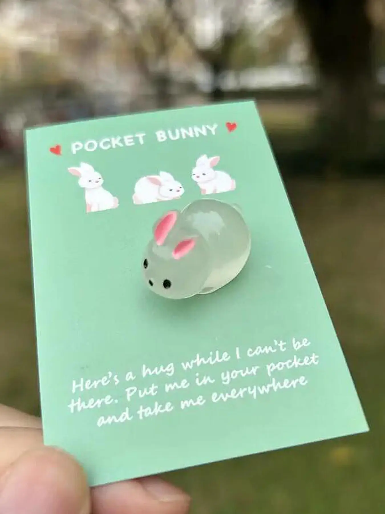 Cute Glow in The Dark Rabbit Design Ornament, Pocket Hug Animal Decoration with Encouragement Greeting Card, Birthday Gift for Friends