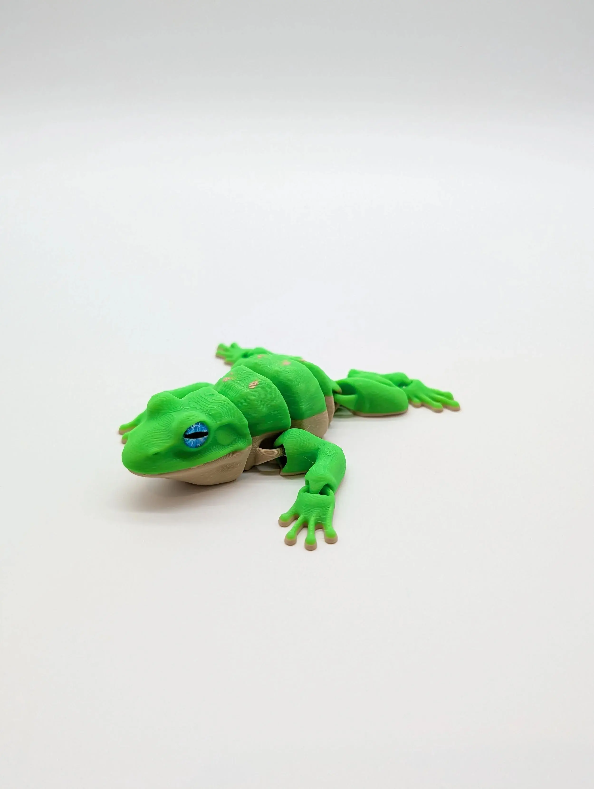 Tree Frog