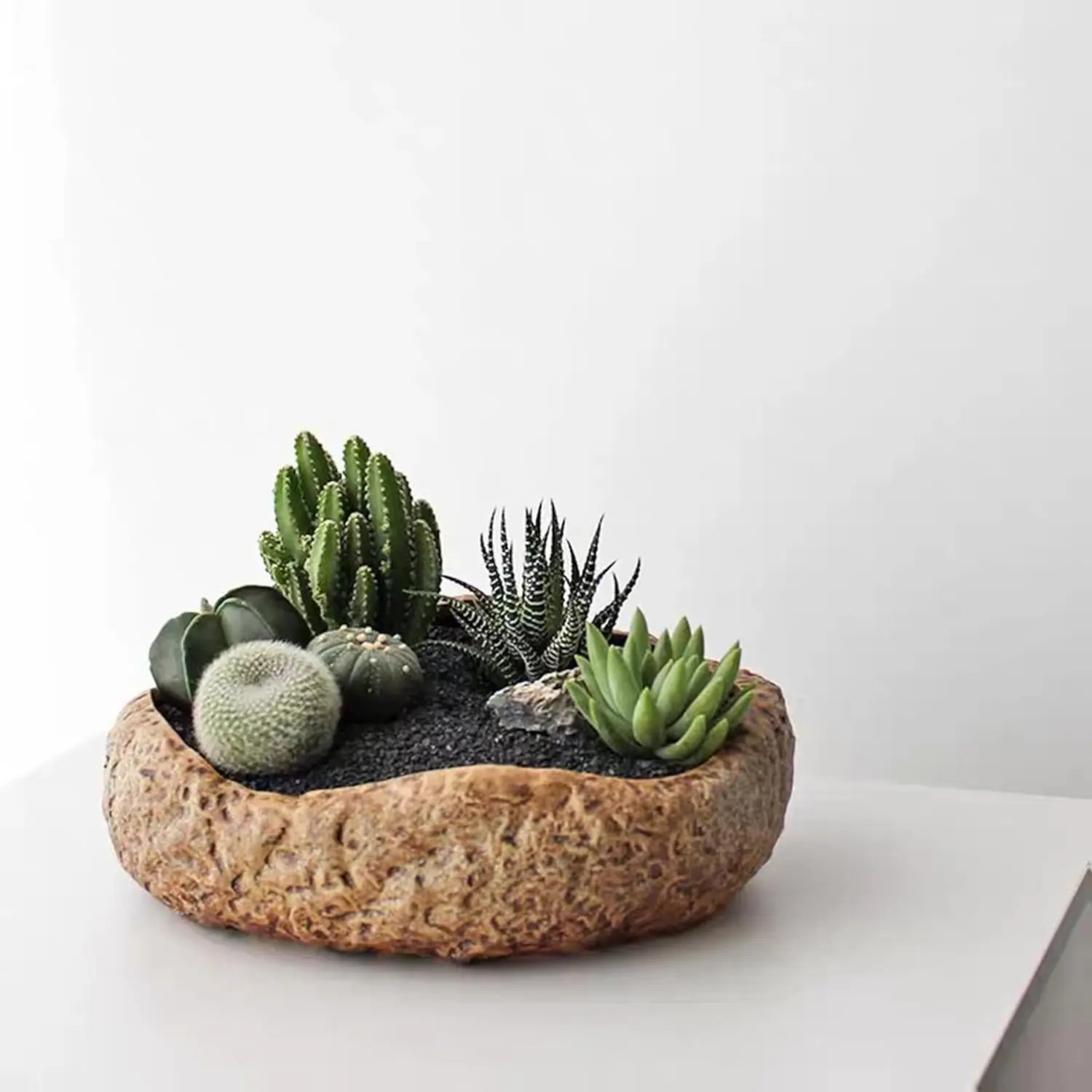 1LB Natural Gravel Pebbles for Cactus Succulent Plants Decorative Polished Stones Mixed Color River Rocks for Potted Plants Vases Aquariums Terrarium Outdoor Gardening