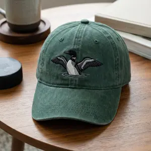 Heated Rivalry Embroidered Washed Dad Cap, Team Hollanov Hat, Hockey Romance Novel Fan Gift, Boston Raiders Inspired Vintage Cotton Cap
