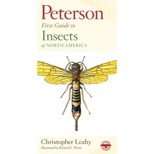 Peterson First Guide To Insects Of North America (Peterson First Guide) by Richard E. White [Paperback Book]