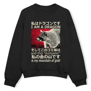 I Am Dragon Raccoon Shirt, Dragon Raccoon Japanese Sweatshirt T-shirt Hoodie, Japanese Raccoon Meme Funny Outfit, Gift For Friends, Full Color