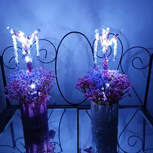Light-up Duo - Illuminated Floral Arrangements with LED Lights for Decorative Display