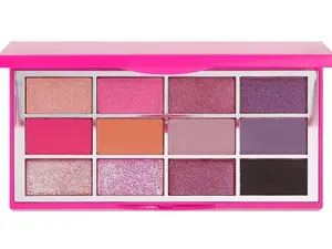 Illuminati Cosmetics Sparkle and Shine Eyeshadow Palette Makeup Radiance