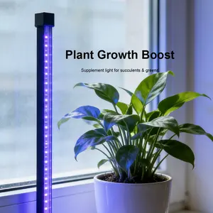 Indoor artificial sunlight, plant LED lights, succulent and ornamental plant growth lights, multi-functional lighting, stain detection, fungal screening.
