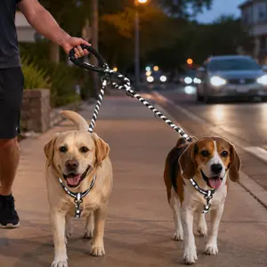 Dual Dog Reflective Anti-Tangle Split Leash - Soft Foam Handle, 360° Rotating Buckle, Sturdy Durable Design for Safe Nighttime Outings with Small, Medium, Large Dogs