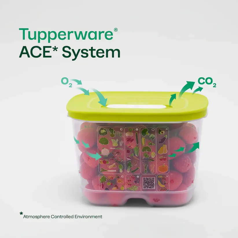 Fridgesmart Containers - TikTok Shop