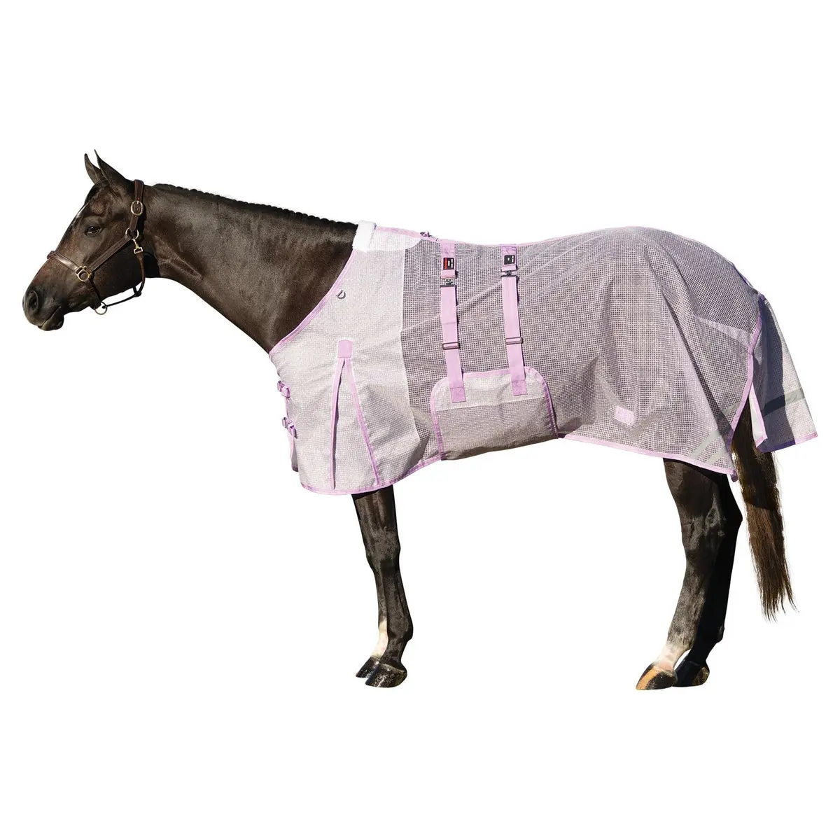 Schneiders Euro Bellyband Fly Sheet - Ripstop Nylon Mesh II Equestrian Mosquito Net, Protective Gear, Equestrian Supplies