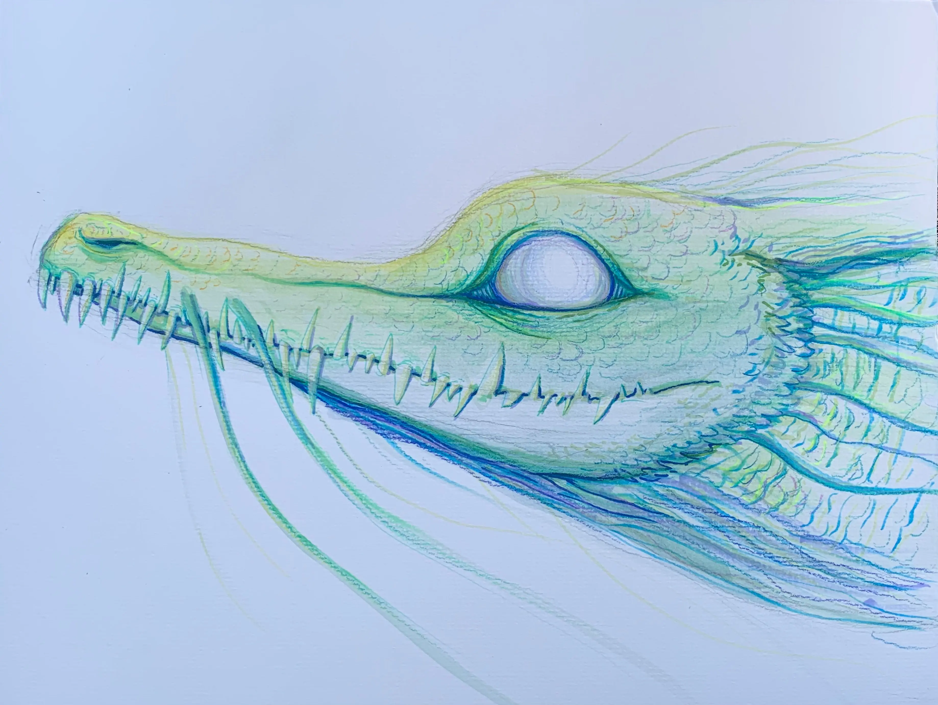 Deep Sea Dragon Print