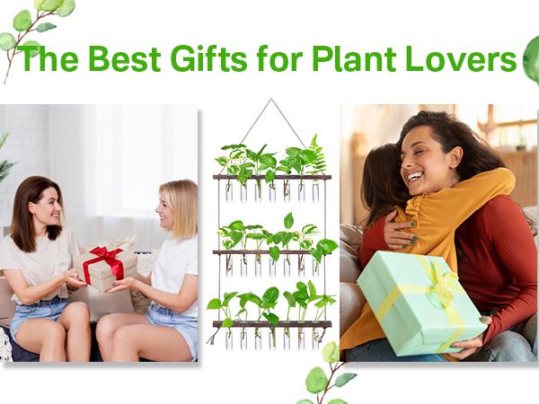 Renter-Friendly Large Indoor Plant Wall Hanger 3-Tier Glass Test Tube Planter 15.7" Wide for Small Apartments Office Spaces Decor Hanging