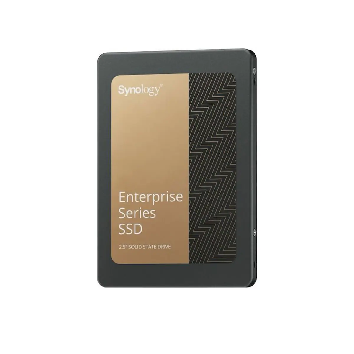 Synology Enterprise Series SAT5221 Internal SSD - 960GB, 2.5" SATA III Storage Drive