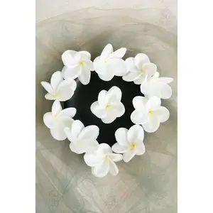 10 PCS Real Touch White Plumeria - DIY Flower Ornament Home Decor, Bathtub, Centerpiece, Headband, Aisle Decor, Wedding, Handmade Hairpin