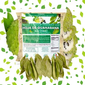 VIRAL Yerbero Hoja de Guanabana - Premium Whole Sun Dried Graviola Soursop Leaves (4 oz - 300+ Leaves Per Bag) Entera Calidad Premium, 100% All Natural Delicious Fresh Tea | From Mexico | Premium Wildcrafted Quality. Beverage Herbal