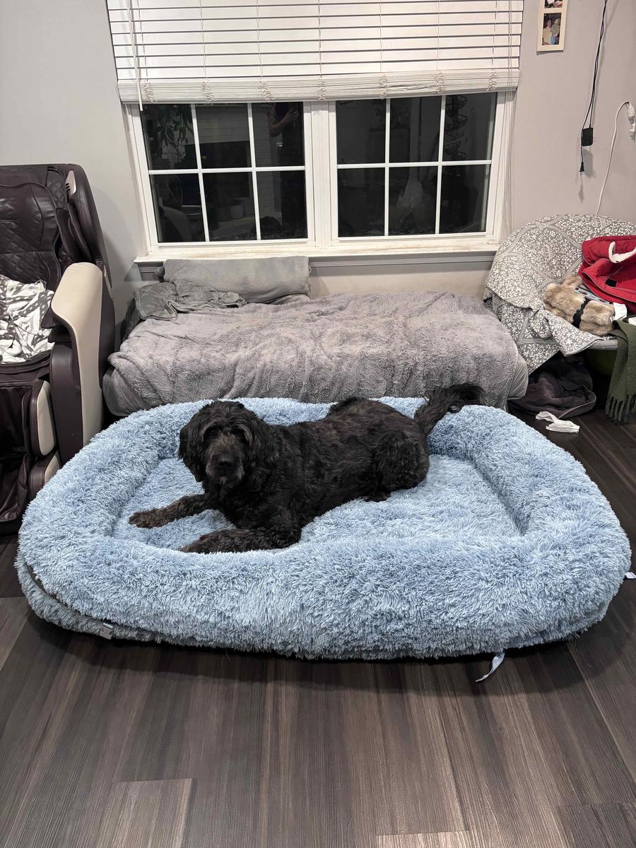 Item: 3-in-1 Flexible Baby Blue(68x44x12)