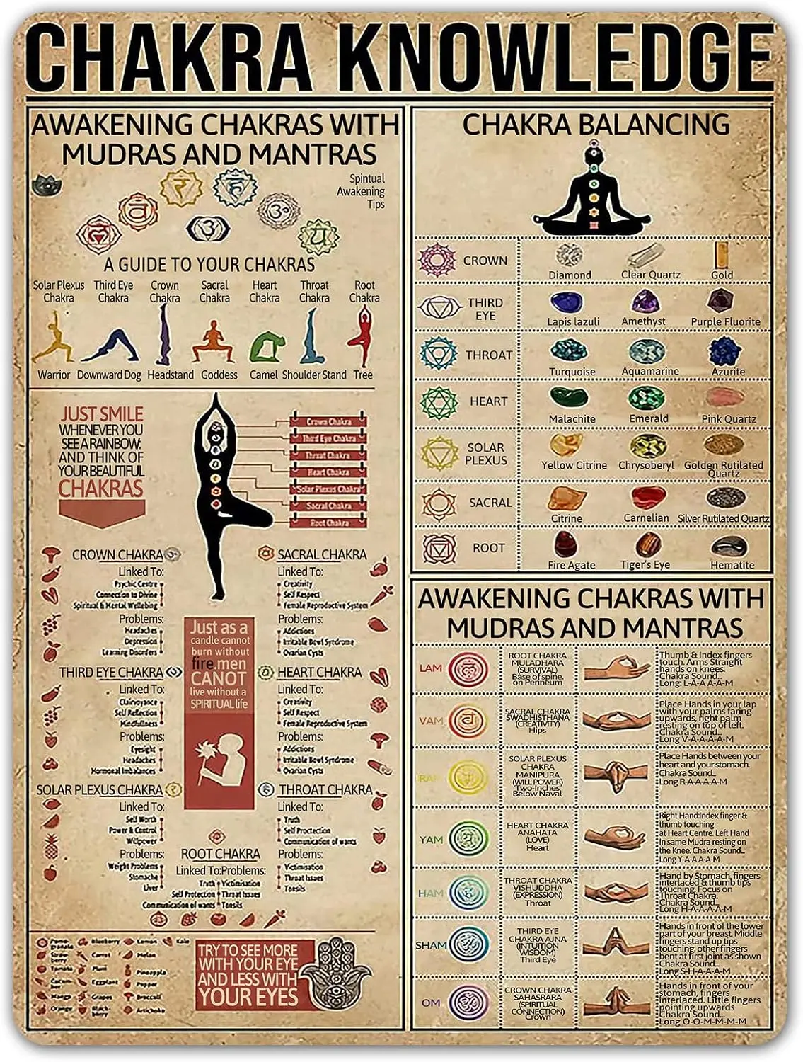 Chakra Knowledge Poster Multi Wall Décor Art Gift for Yogaer Chart Metal Tin Sign School Metal Tin Signs 16x12 Inch