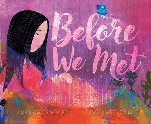 USED-Before We Met by Melmed, Laura Krauss (Hardcover)
