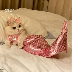 Funny Mermaid Cat Costume - Pet Stuffed Doll Fish Tail Dress for Photo Pranks Mermaid Cat Costume - Funny Pet Dress Up Outfit with Fish Tail for Prank Photos Pet Clothes Pet Outfit