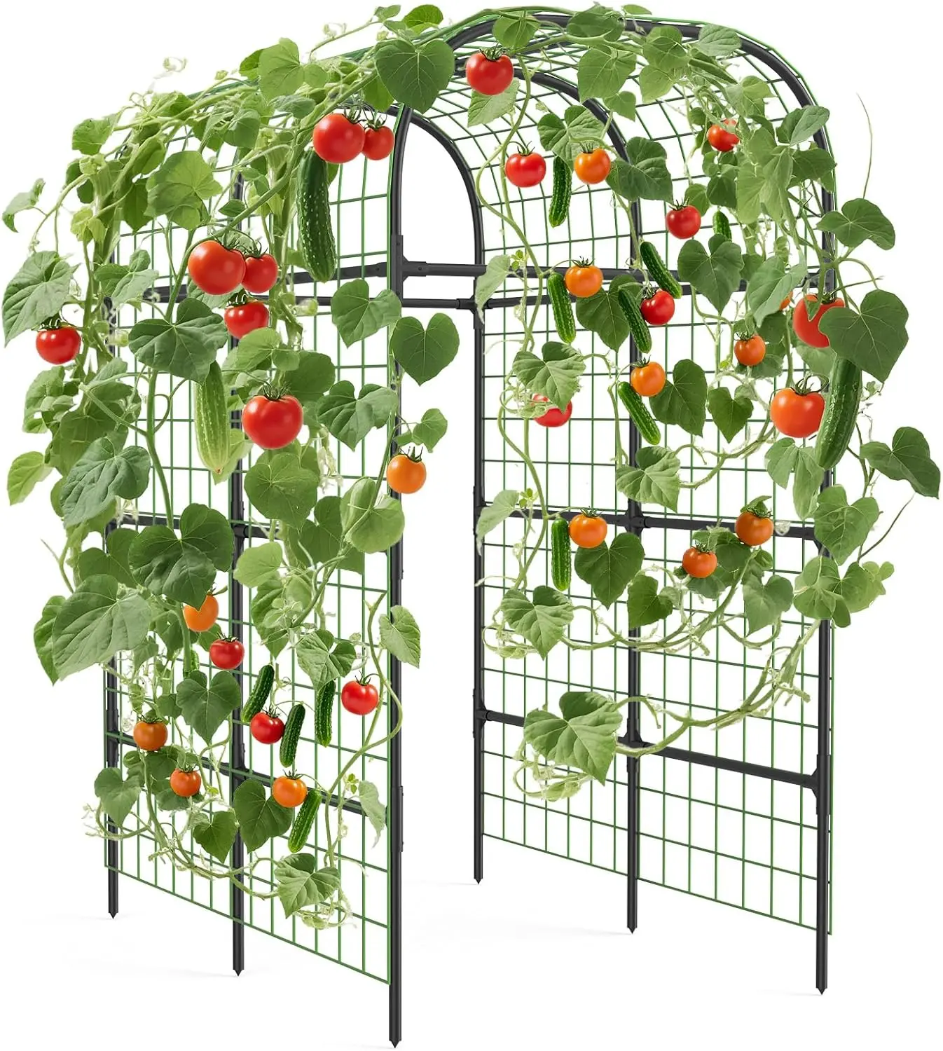 Garvee Extra Tall 7.3 Ft Garden Arch Trellis – Polyethylene-Coated Stainless Steel Arbor, Durable Black Metal Support for Climbing Plants, Vegetables & Flowers – Ideal for Raised Beds, Cucumbers, Tomatoes, Weddings & Outdoor Decor