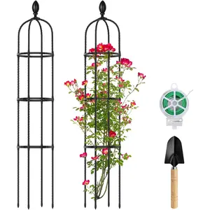 2 Pack 5Ft Tall Garden Obelisk Trellis for Climbing  Outdoor,  Trellis Garden Tower Trellis for Potted  Climbing,  Vegetable Cucumber Trellis