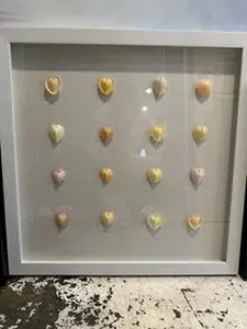White Frame with Natural Pastel Heart Cockle Shells- Coastal Home Wall Decor- CARDIUM CARDISSA Specimen Shadowbox