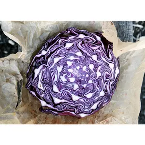 Red Express - Cabbage Seeds