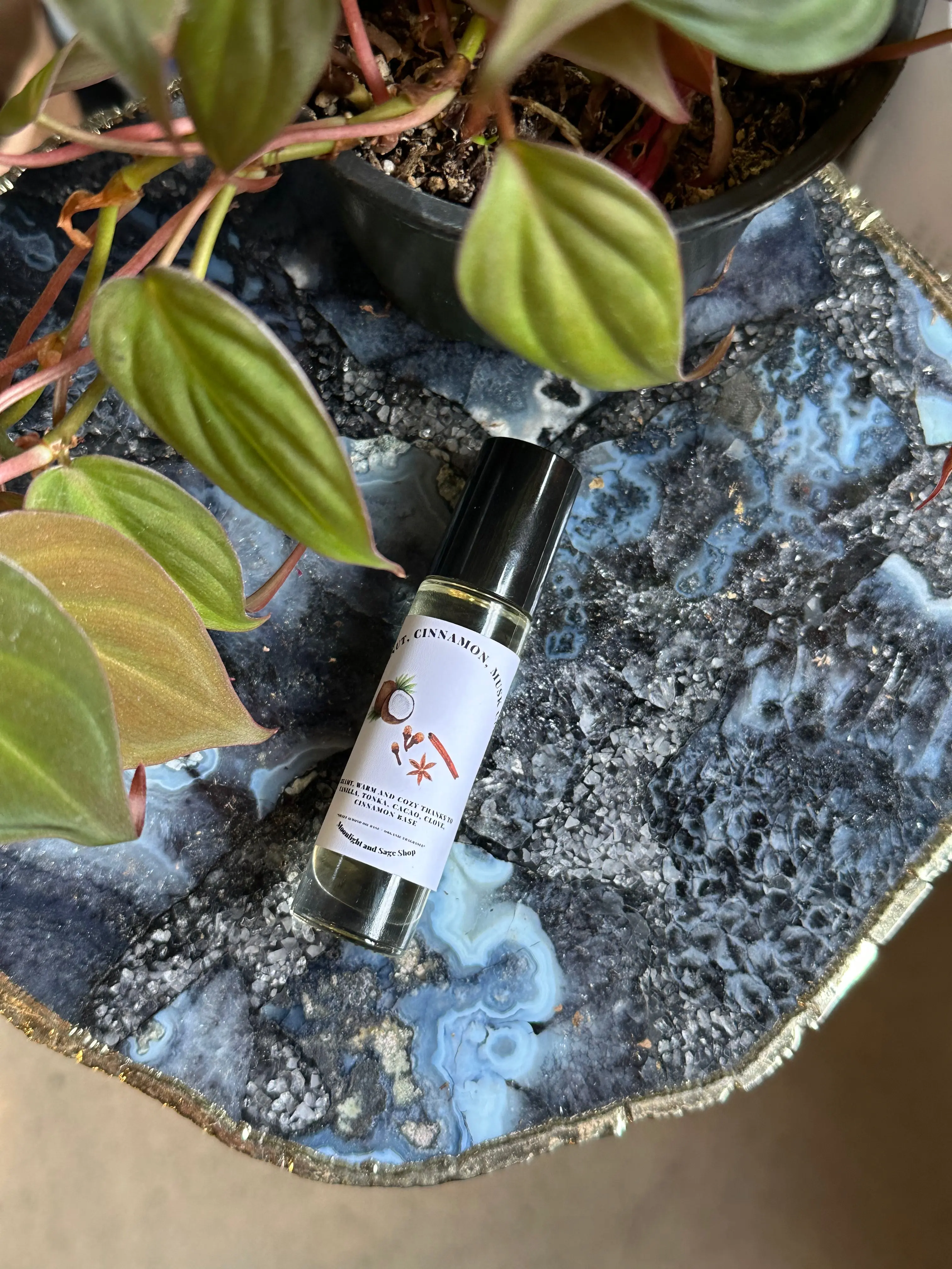 Coconut, Cinnamon, Musk - Cologne Oil Coconut, Cinnamon, Musk - Cologne Oil