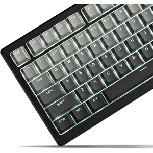 x XVX Shine Through PBT Keycaps, Keycaps 60 75 100 Percent Cherry Profile, Doubleshot Custom Key caps Set for 61/64/68/84/87/100/104/108 Gaming Mechanical Keyboard, Gradient Gray