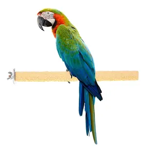 Colorful Grinding Stick Non-toxic Parrot Standing Stick Eco-friendly Creative Reusable  Funny Portable Pet Bird Supplies