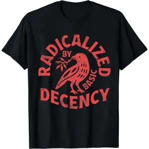 Radicalized By Basic Decency T-shirt, Activist Tee