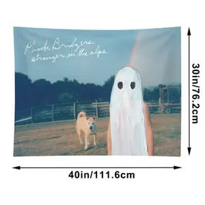 Phoebe Music Poster Bridgers Tapestry Album Cover Banner Posters Wall Art for Bedroom, College Dorm, and Home Decor - Decorative Hanging Flag Poster Decoration Linen