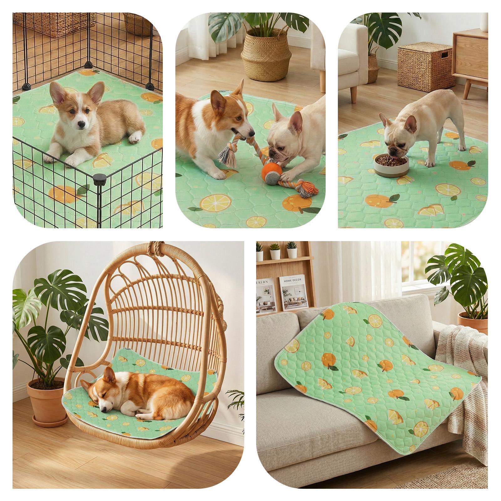 Washable Pee Pads for Dogs, 2-Pack Reusable Absorbent Training Pads for Puppies, Non-Slip Potty Pads, Playpen, Crate, Mattress, Multiple Sizes